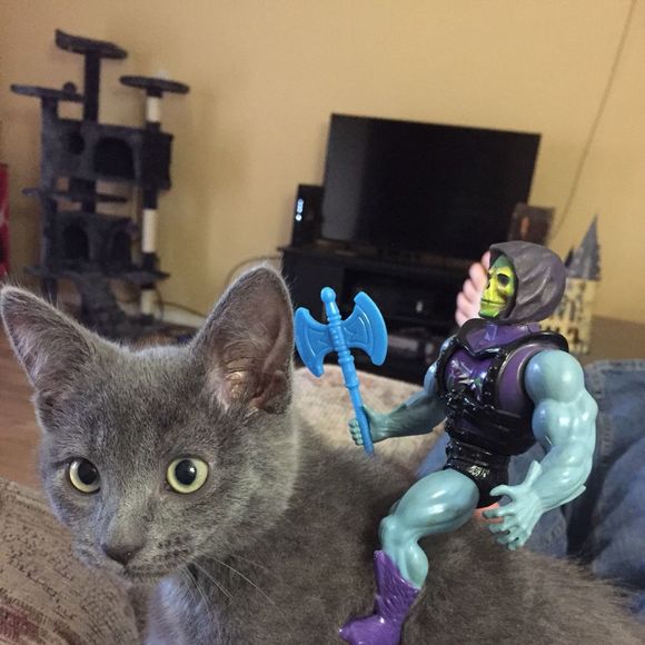 Profile Picture of Robert Rolly (@rrolly82) on Poshmark