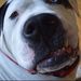 Profile Picture of Shawna Hulse (@shawnahulse) on Pinterest