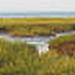 Profile Picture of lmbona (@lmbona) on Flickr