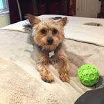 Profile Picture of Steve Beyer (@sbeyer67) on Instagram