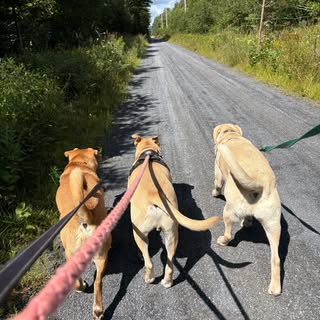 Profile Picture of Cathy Leonard Mueller (@muellerc) on Instagram