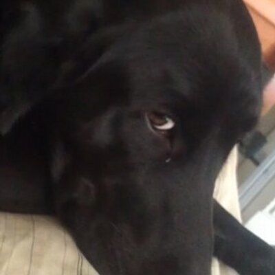 Profile Picture of Daniel Brent Harte (@dan_harte) on Twitter