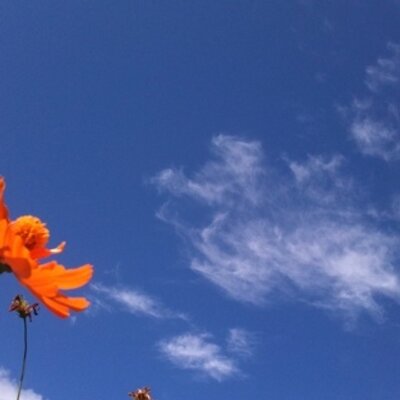 Profile Picture of Eiji Ichikawa (@eiji1644) on Twitter