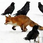 Profile Picture of Jonas Sieger (@reinekenjerry) on Instagram