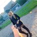 Profile Picture of Lisa Allbritten (@evered.wahl) on Facebook