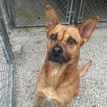 Profile Picture of Jonathan McMahan (@pharmtardmedic) on Instagram