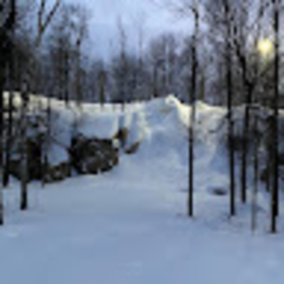 Profile Picture of Benjamin Harrmann (@benharrmann1029) on Poshmark