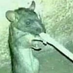 Profile Picture of jimmy._.nixon (@jimmy._.nixon) on Instagram