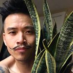 Profile Picture of Richard Pham (@lordfierce) on Instagram