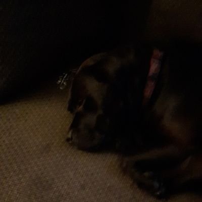 Profile Picture of M.O.B. BADAZZ (@ChrisMowbrayMo1) on Twitter