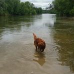 Profile Picture of Brian Graff (@brian.graff69) on Facebook