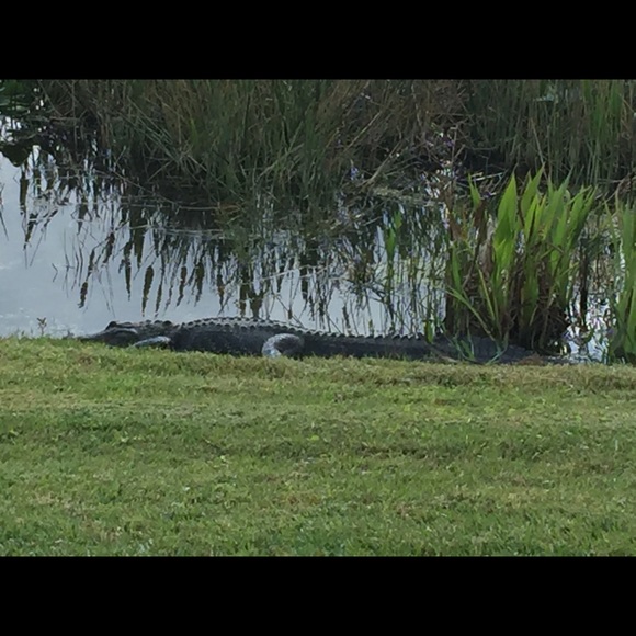 Profile Picture of Donna Hopta (@dhopta) on Poshmark