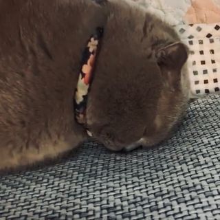 Profile Picture of Raymond Cui (@ramon.cui) on Instagram