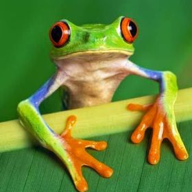 Profile Picture of Lisa Krauth (@krauth0086) on Pinterest