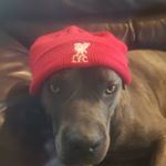 Profile Picture of Chris Stephenson (@chris_stephenson_19) on Instagram