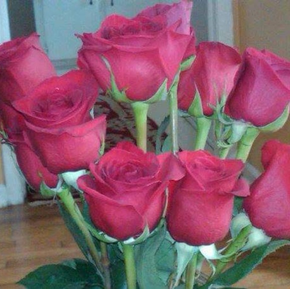 Profile Picture of Karen Poindexter (@anointed55) on Poshmark