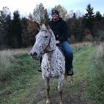 Profile Picture of Aaron Crain (@aaroncrain1360) on Instagram