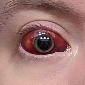 Sean Oller - Twitter Profile Picture of Sean Oller (@OllerSean) on Twitter