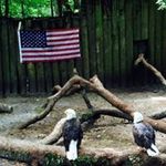 Profile Picture of kevin.edstrom (@kevin.edstrom) on Instagram