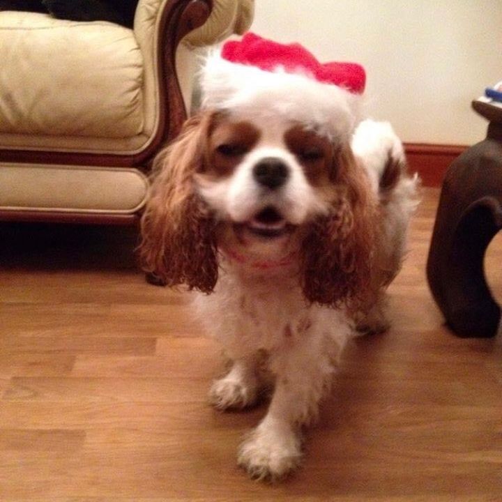 Profile Picture of vicki.carter1 (@vicki.carter1) on Tiktok