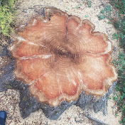 Profile Picture of Michael Mazzotta (@michaelmazzotta2104) on Youtube