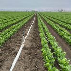 Profile Picture of Eva Alvarez (@Eva-Alvarez) on Facebook