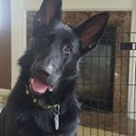 Scott Saxton - Instagram Profile Picture of Scott Saxton (@ssaxton74) on Instagram