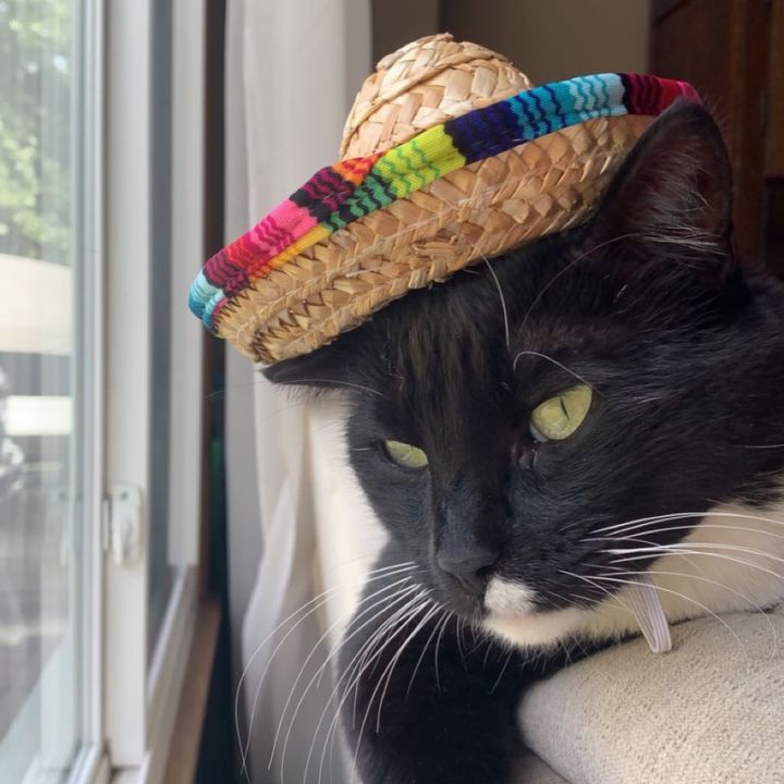 Profile Picture of carissa mattson (@carissamattson) on Tiktok
