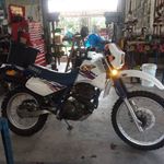 Profile Picture of Victor Mcleod (@victor.mcleod.18) on Instagram