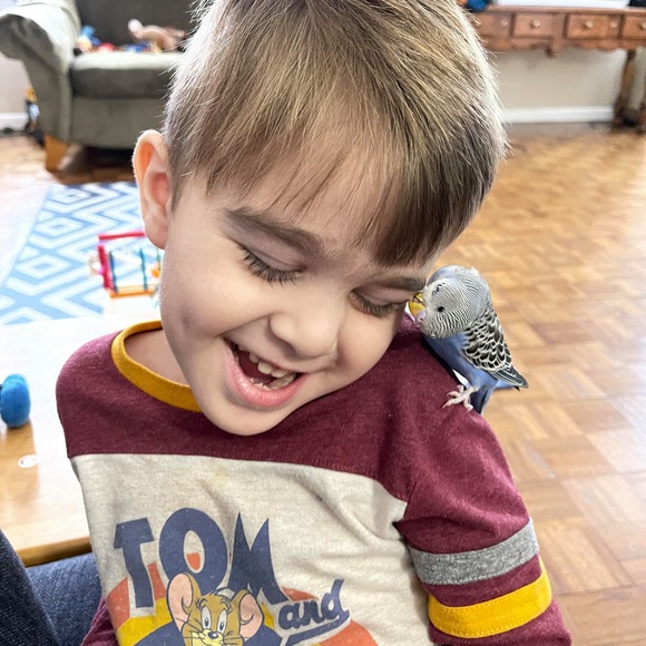 Kimberly Hennager - Poshmark Profile Picture of Kimberly Hennager (@khennager1019) on Poshmark