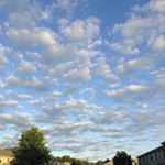 Profile Picture of Ambrosia Smith (@smith.ambrosia8888) on Instagram