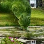 Profile Picture of david la fortune (@davidlafortune) on Instagram