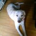 Profile Picture of Jennifer Ault (@sissyault) on Pinterest