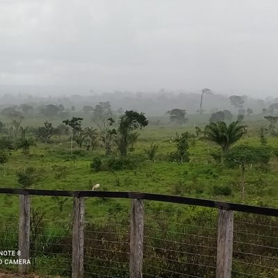 Profile Picture of Jean Kennedy Rocha Pires (@JeanKennedyRoc2) on Twitter