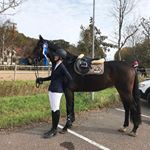 Profile Picture of Linnea Bäckström Nyberg (@linneanybergg) on Instagram