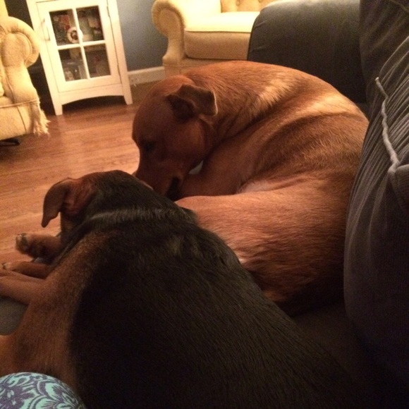 Profile Picture of Kiera Bellmer (@kbellmer123) on Poshmark