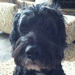 Profile Picture of Kristin Kellerman (@kakellerman) on Instagram