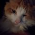 Profile Picture of Brian Tarpley (@brian.tarpley.18) on Facebook