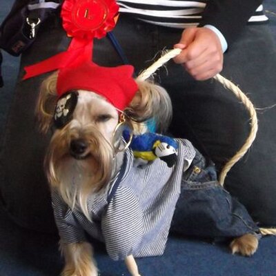 Profile Picture of Zoe Le Carpentier (@imp_pawsonal) on Twitter