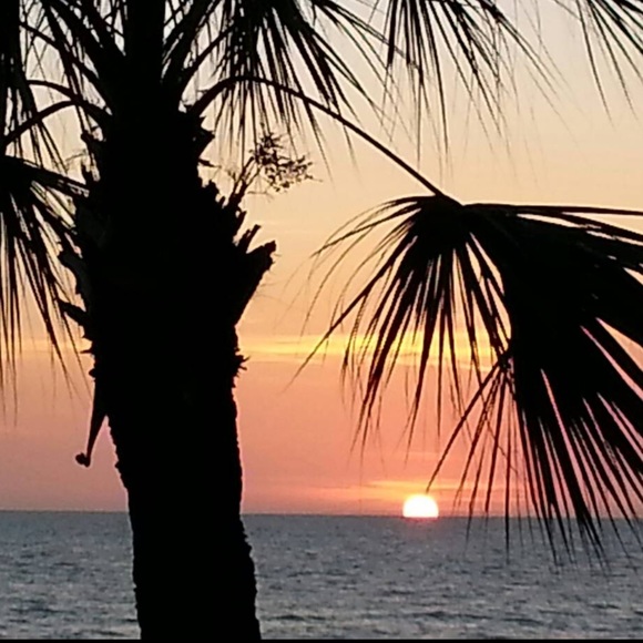 Profile Picture of Debbie Tenelshof (@dtenel) on Poshmark