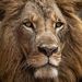 Profile Picture of Alfredo Pichardo (@fredop809) on Pinterest