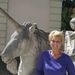 Profile Picture of Beverly Haley (@beverlyhaley) on Pinterest
