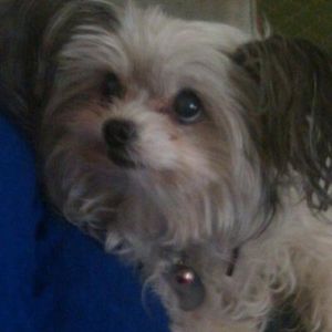 Profile Picture of Karyn Clark (@290960034) on Myspace