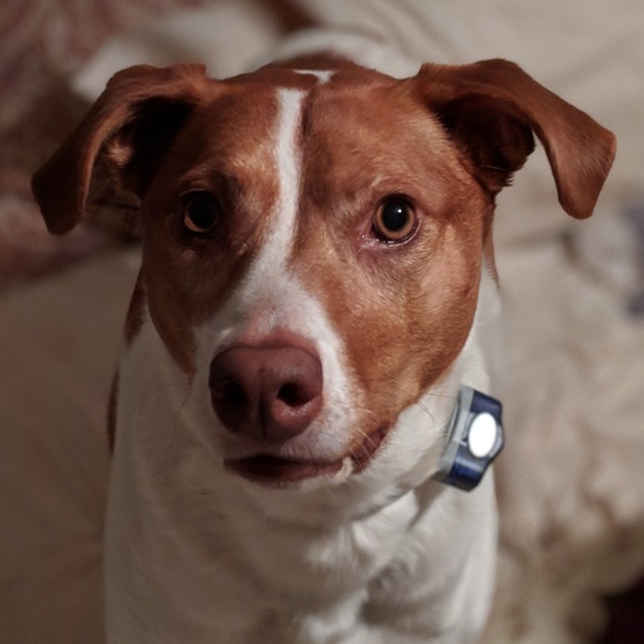 Profile Picture of Jason Riner (@jsriner3) on Poshmark