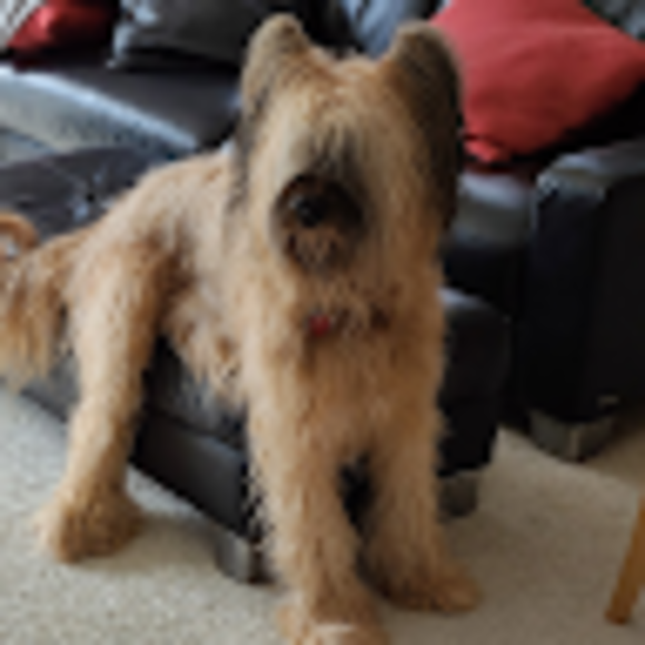 Profile Picture of Eric Chu (@ericshchu) on Poshmark