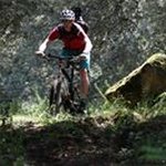 Profile Picture of Thomas Schöpper (@schopperthomas) on Instagram