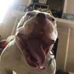 Profile Picture of Heidi Carson (@heidi_is_weirder_than_urmom) on Instagram