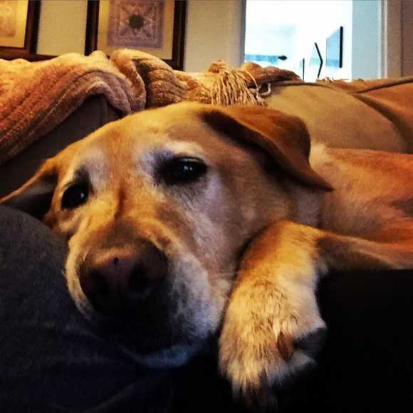 Profile Picture of Ali Meagher (@meagheralv) on Poshmark