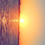 Profile Picture of Peter Mendiola (@pjmendi) on Instagram