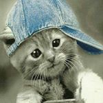 Profile Picture of mrs. bajaj (@suman_bajaj_) on Instagram